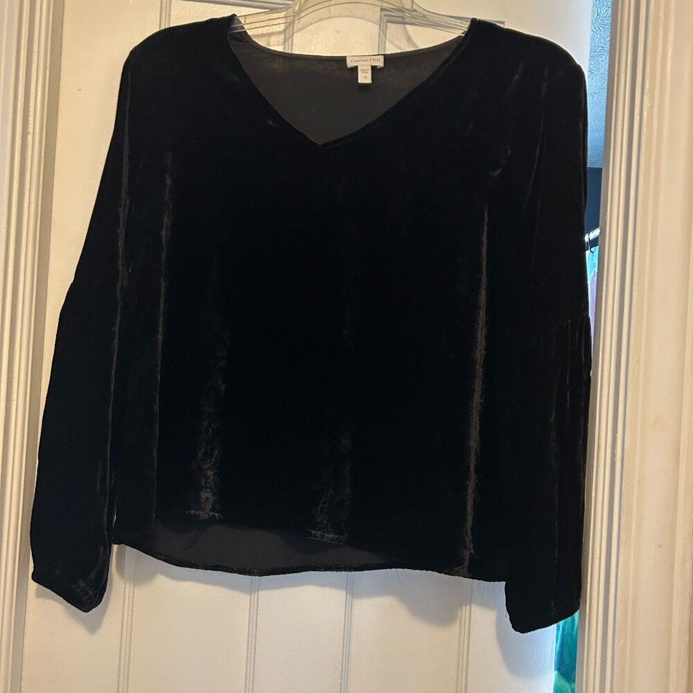 Garnet Hill Velvety V-Neck Boxy Shirt